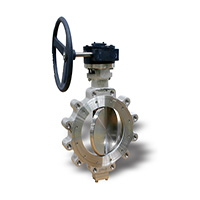 Power plant valve