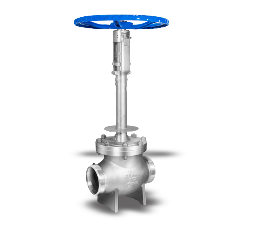 Cryogenic valve